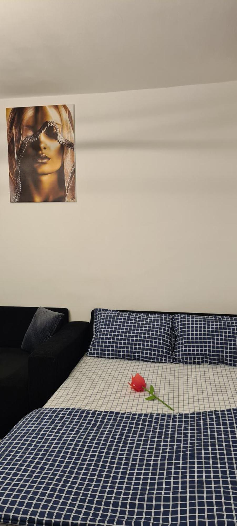 Tiki'S Bar Studio ブカレスト エクステリア 写真